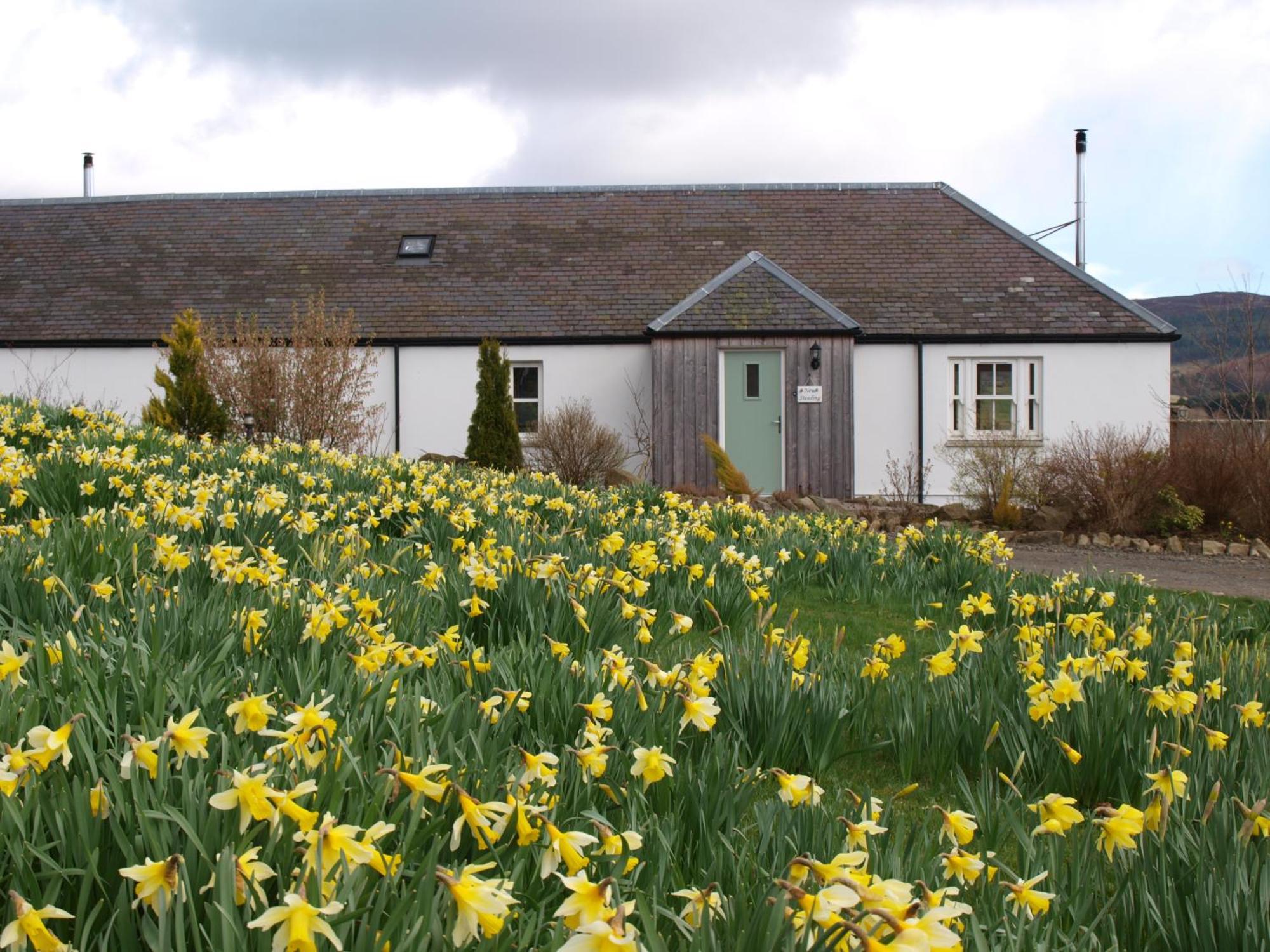 Dalnoid Cottages & Treehouses Nr Glenshee Exterior photo